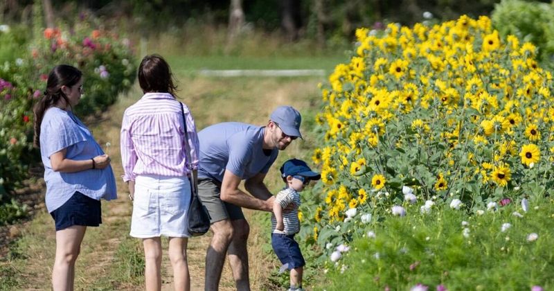 Farm Visits & Playgrounds