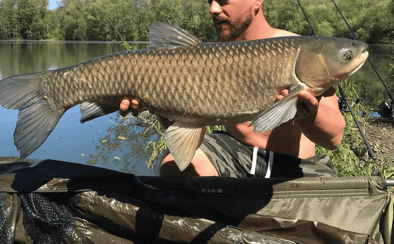 Freshwater Fishing at Lake Leelanau