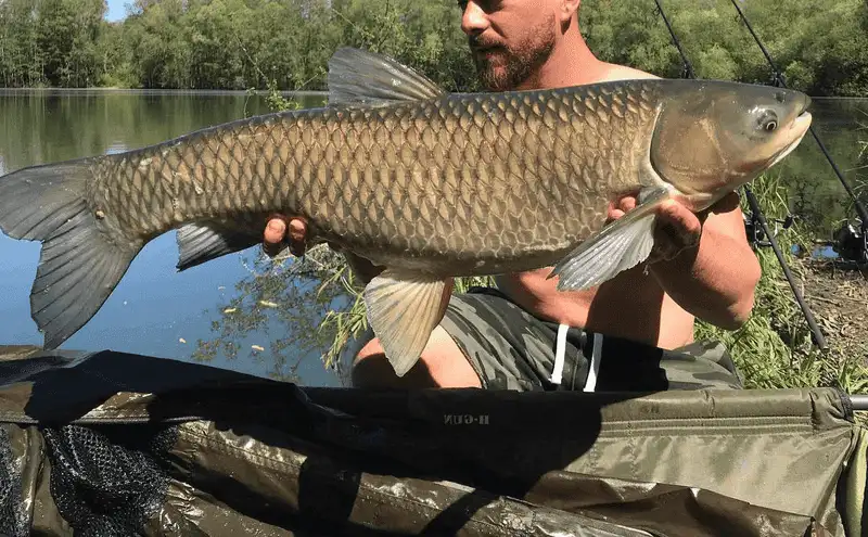 Freshwater Fishing at Lake Leelanau