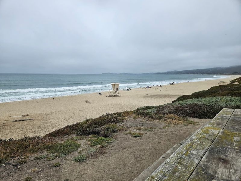 Watching the Waves at Mavericks Beach
