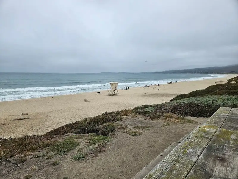 Watching the Waves at Mavericks Beach