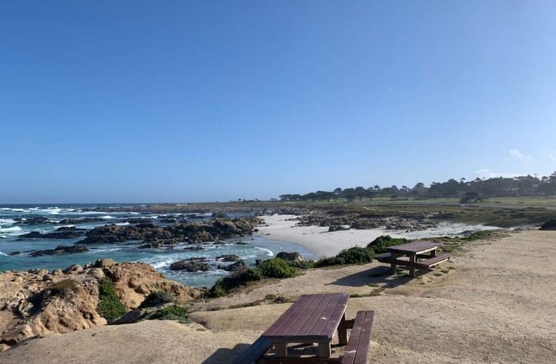 Seal Rock Picnic Area