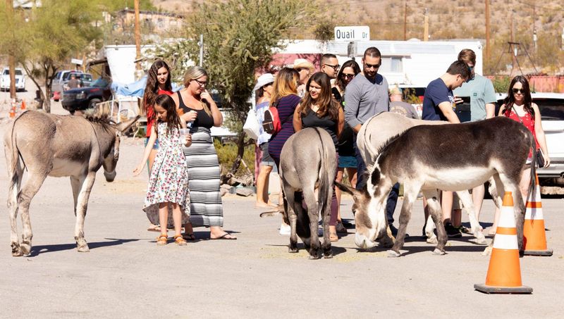 Oatman, Arizona