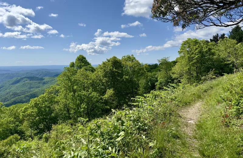 Doughton Park Trail