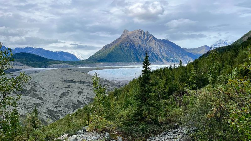 Wrangell–St. Elias National Park, AK – Tundra Plants and Fireweed Fields