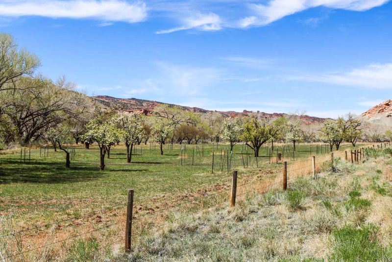 Capitol Reef National Park (Utah)
