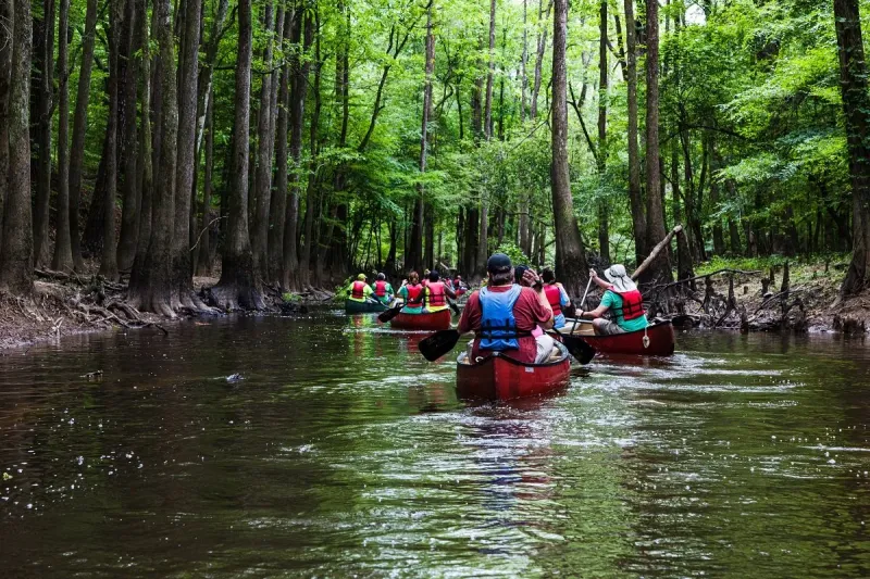 Congaree National Park, South Carolina