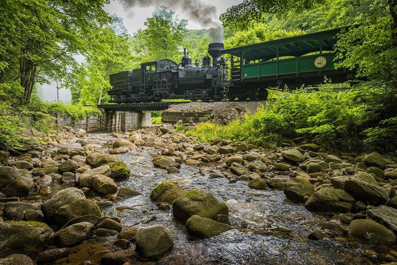 Cass Scenic Railroad