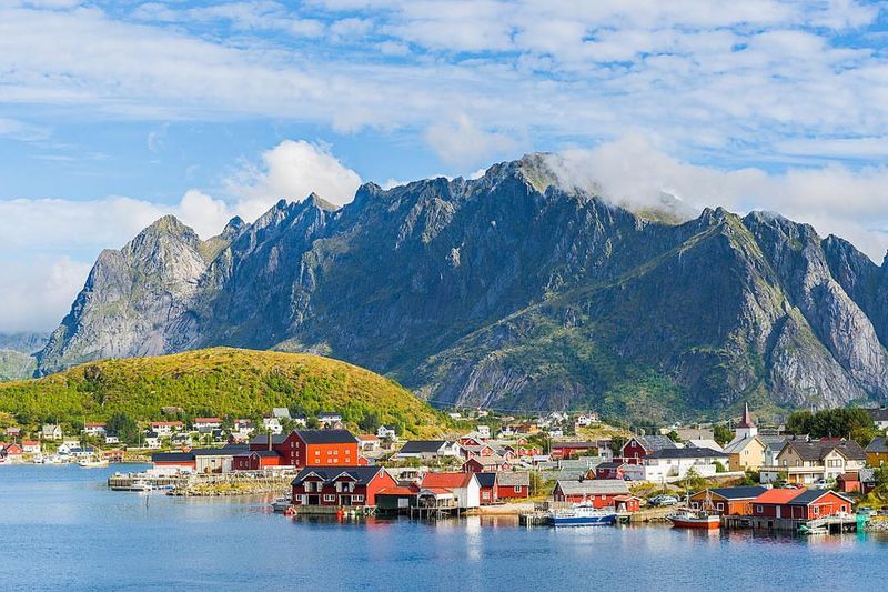 Reine, Norway – Arctic Wildflowers and Seaside Mosses