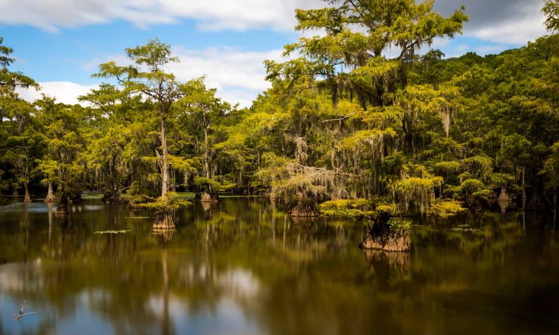 Caddo Lake, Texas