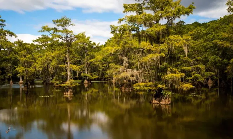 Caddo Lake, Texas