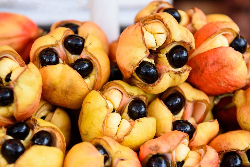 Ackee Fruit (Jamaica)
