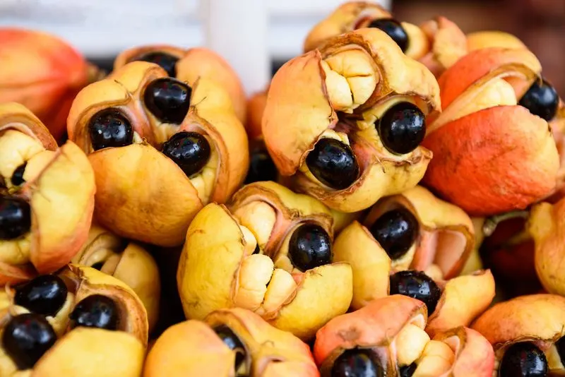 Ackee Fruit (Jamaica)