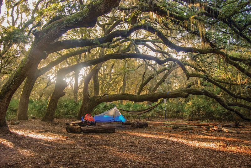 Cumberland Island Trails – Georgia