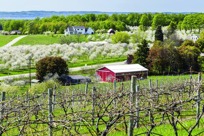Traverse City, MI