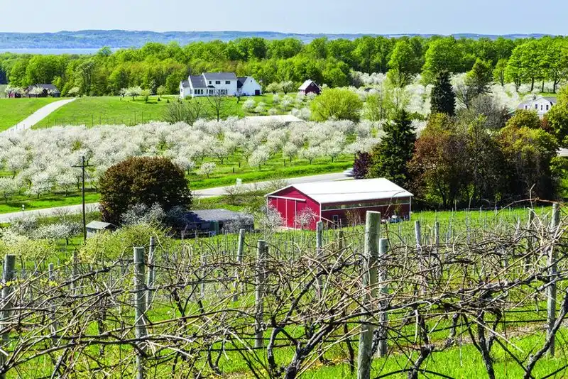 Traverse City, MI