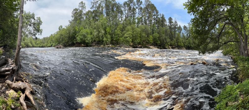 Big Shoals State Park, Florida – Wildflower Trails and River Bluffs