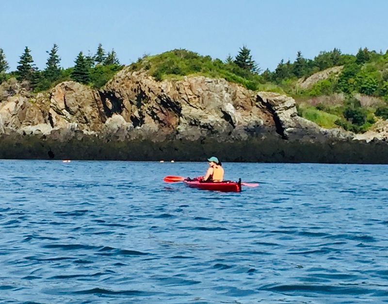 Kayaking Cobscook Bay with Sunrise Canoe & Kayak