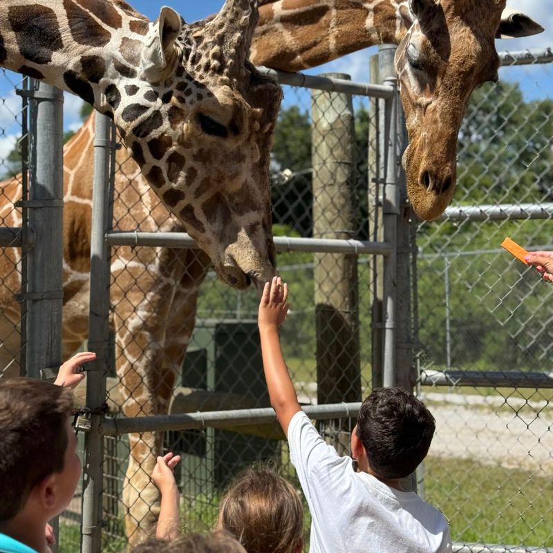 Alabama Gulf Coast Zoo