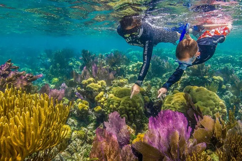 Dry Tortugas, Florida