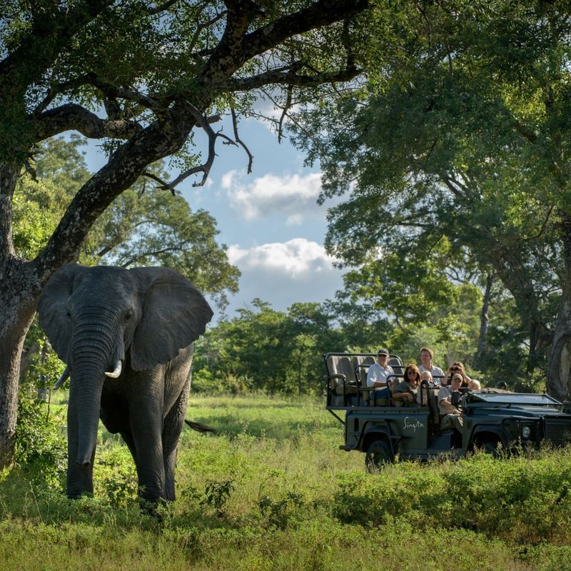 South Africa: Safari Adventures and Diverse Landscapes