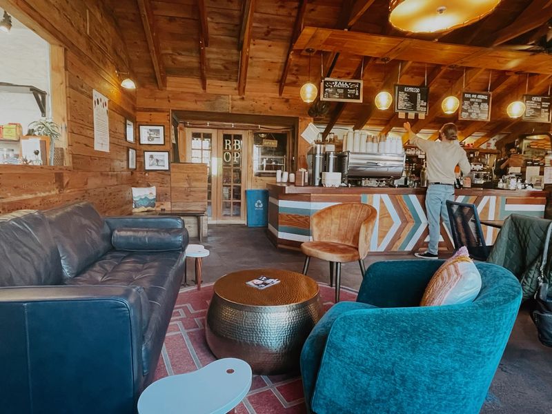 Snowy Owl Coffee Roasters