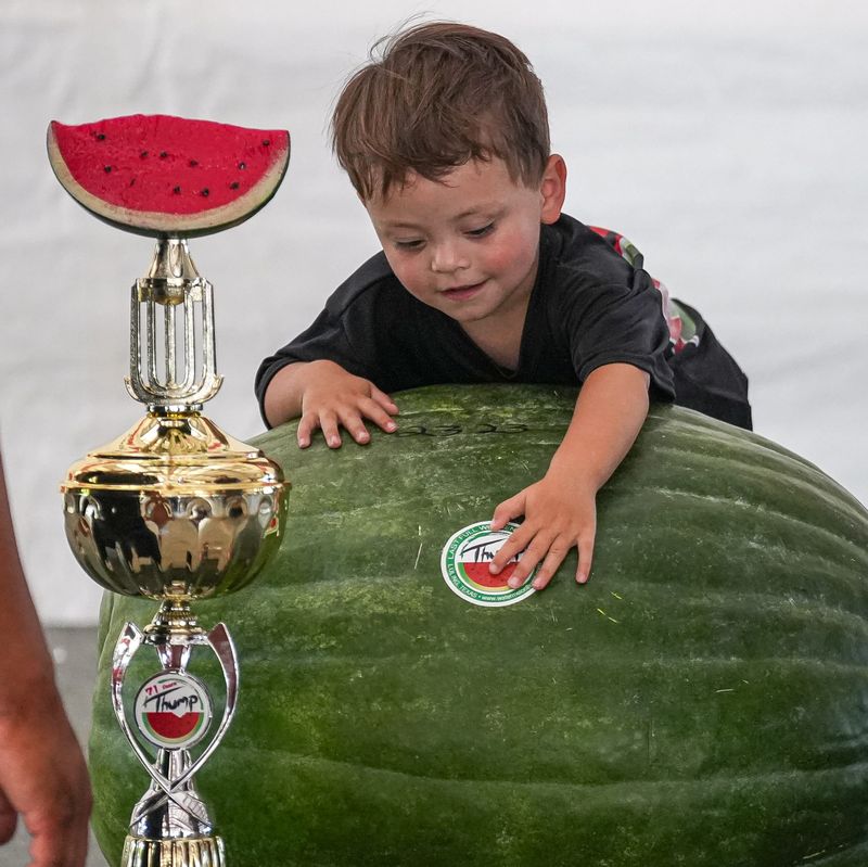 Watermelon Thump