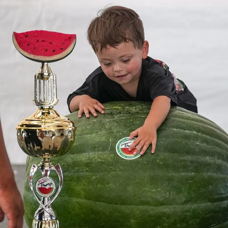 Watermelon Thump