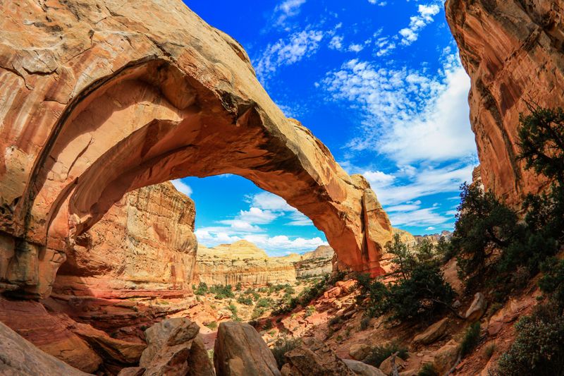 Capitol Reef National Park
