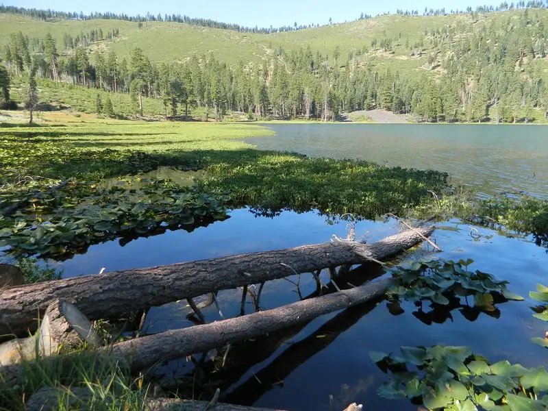 Blue Lakes (Hope Valley, CA)