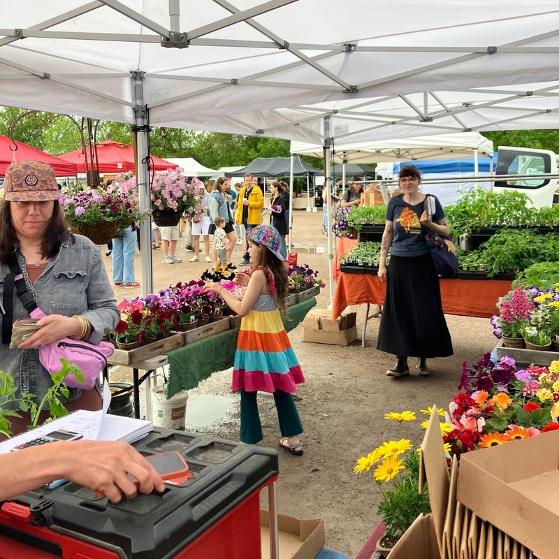 Local Farmers Market