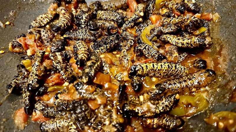 Mopane Worms (Southern Africa)