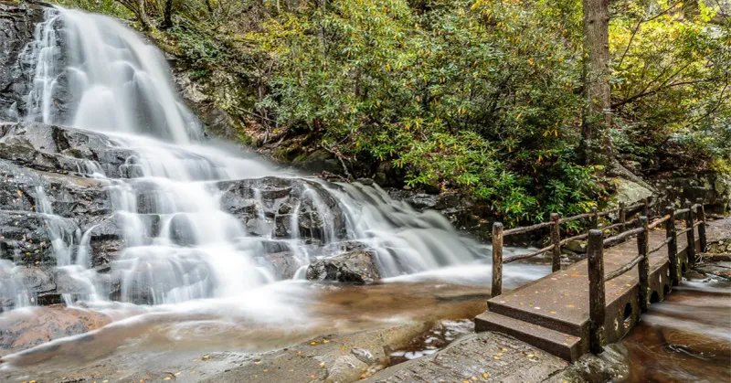 Laurel Falls Trail