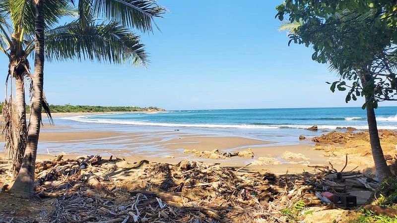 Pedasí, Panama – Beachside Almond Trees and Hibiscus