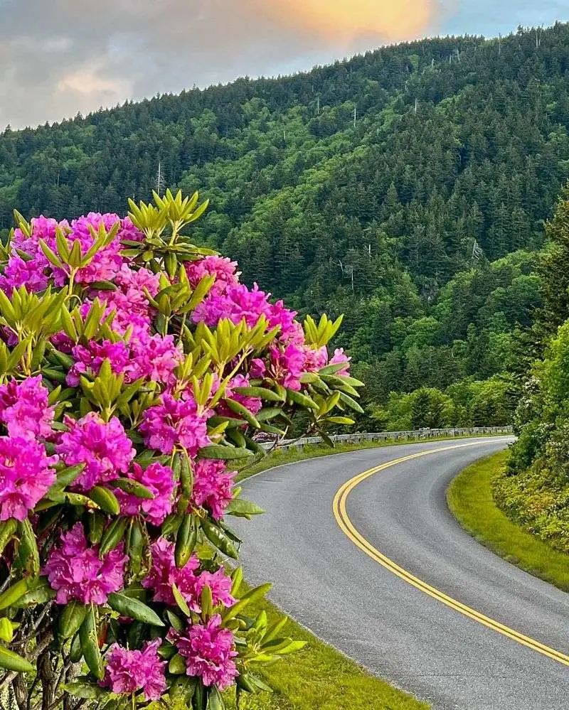 Blue Ridge Parkway