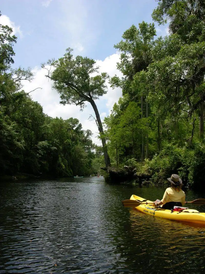 Paddle the Quiet Backwaters of the St. Johns River