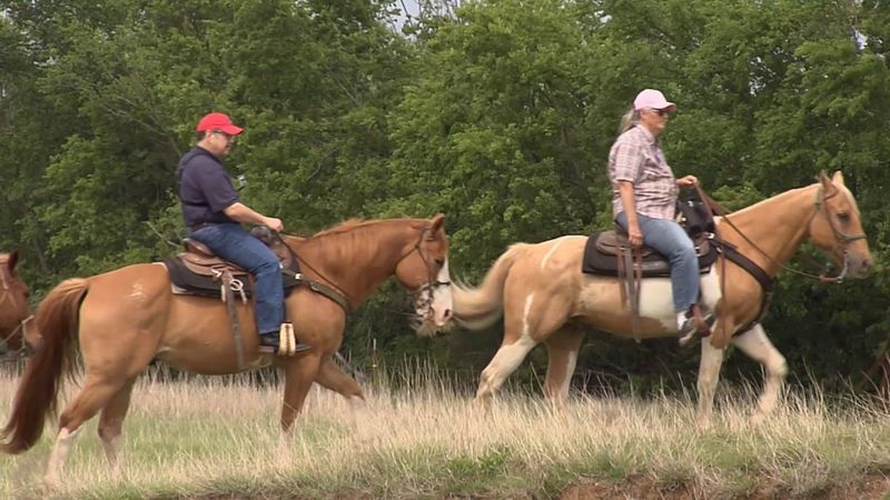 Go Horseback Riding at Arbuckle Trail Rides