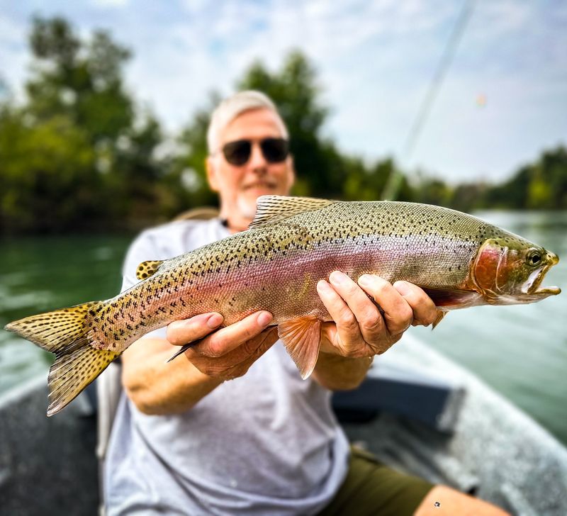 Go Fishing for Bass, Trout, and More