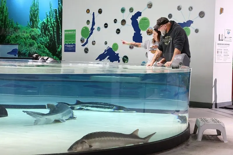The Great Lakes Aquarium