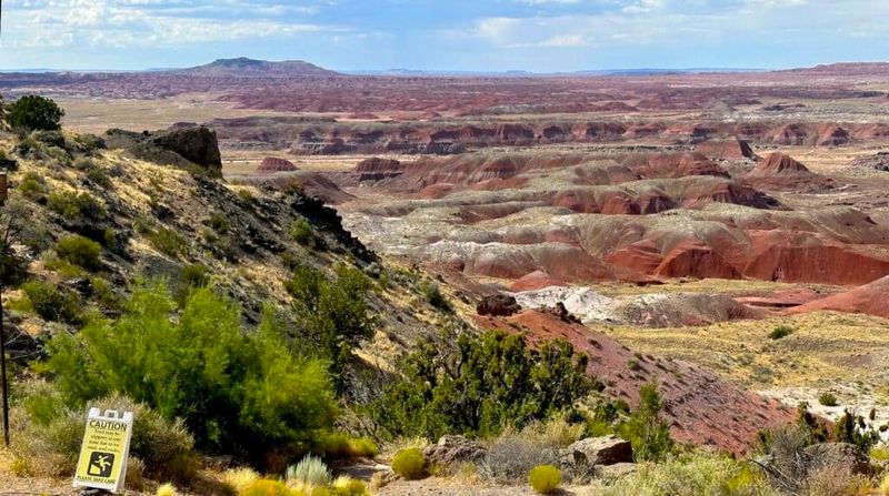 Petrified Forest National Park (AZ)