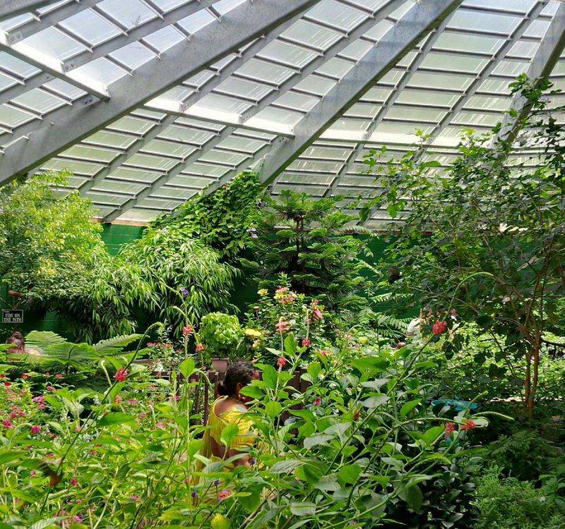 Butterfly Place