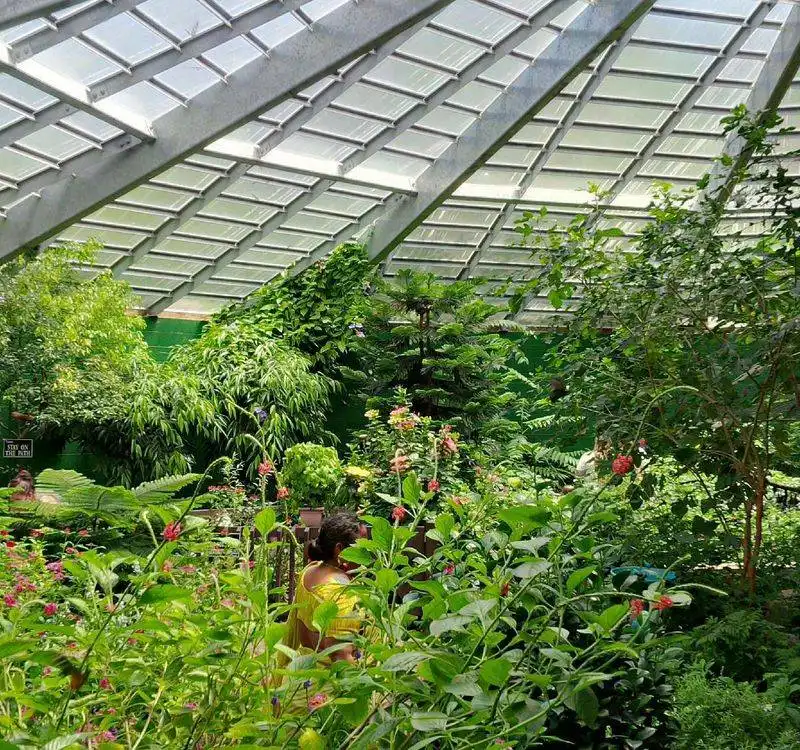 Butterfly Place