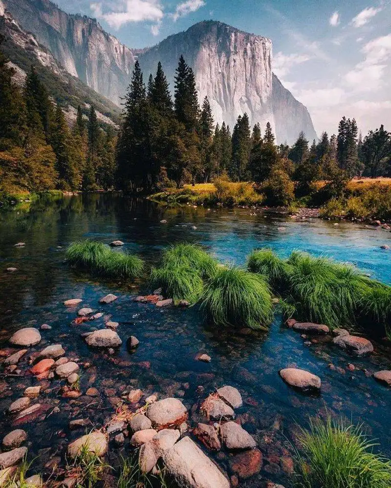 Yosemite National Park