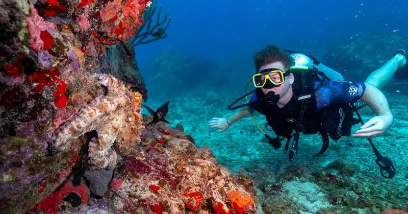 Virginia Beach, Virginia