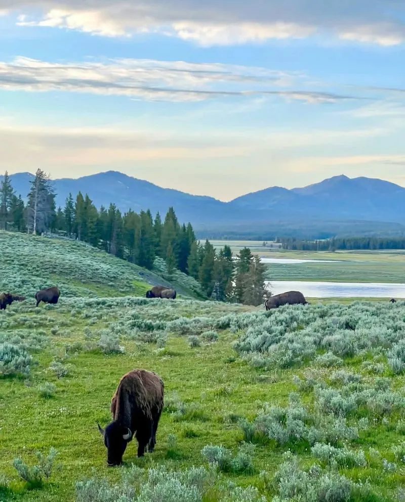 Jackson Hole, Wyoming