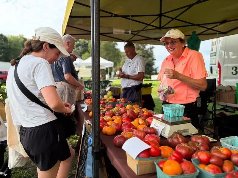 The Lewes Farmers Market: Fresh, Local, and Friendly