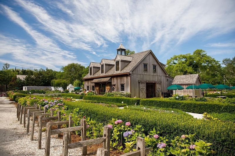 Beach Plum Farm