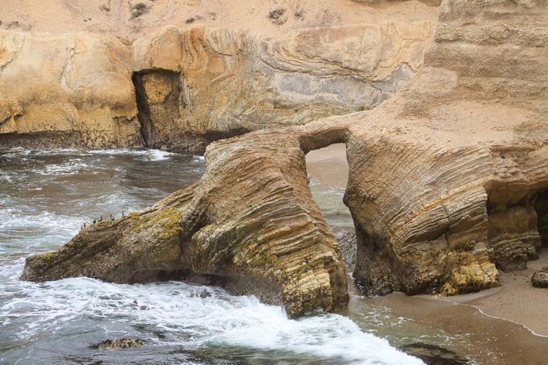Bluff Trail – Montaña de Oro State Park, California