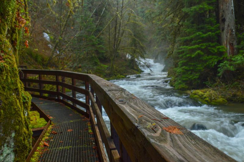 Sweet Creek Trail