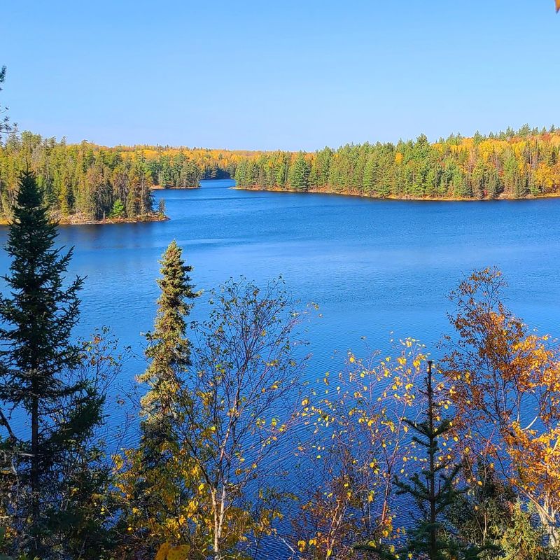 Voyageurs National Park, MN – Water-Edge Plants and Boreal Wetlands